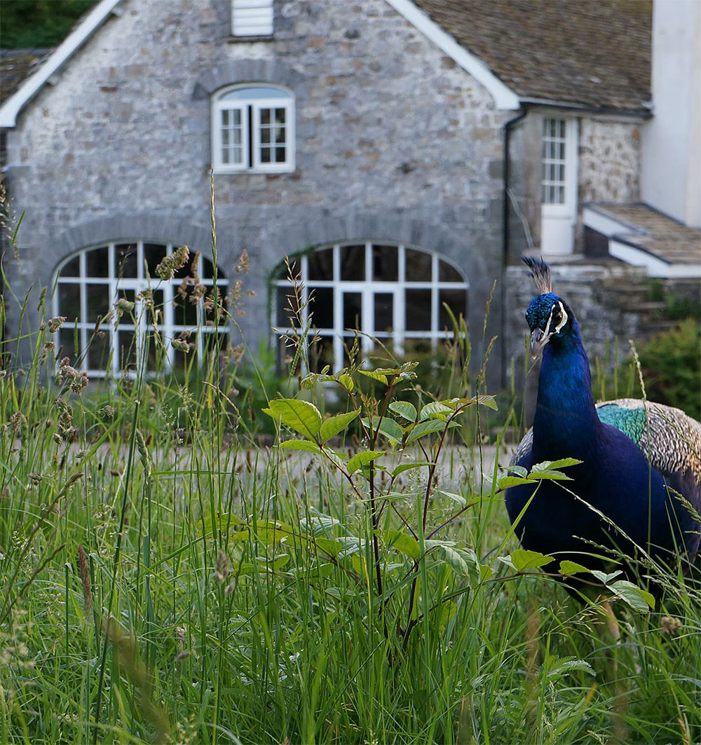 The Brewhouse Cottage Glynhir Estate