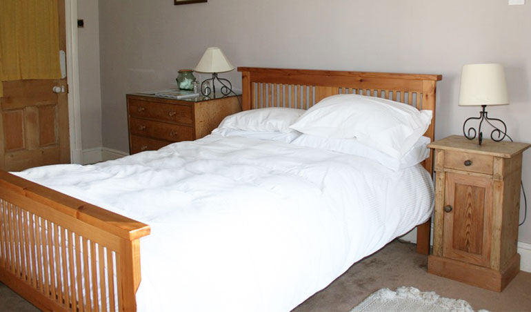 Double Room at Glyn Hir mansion